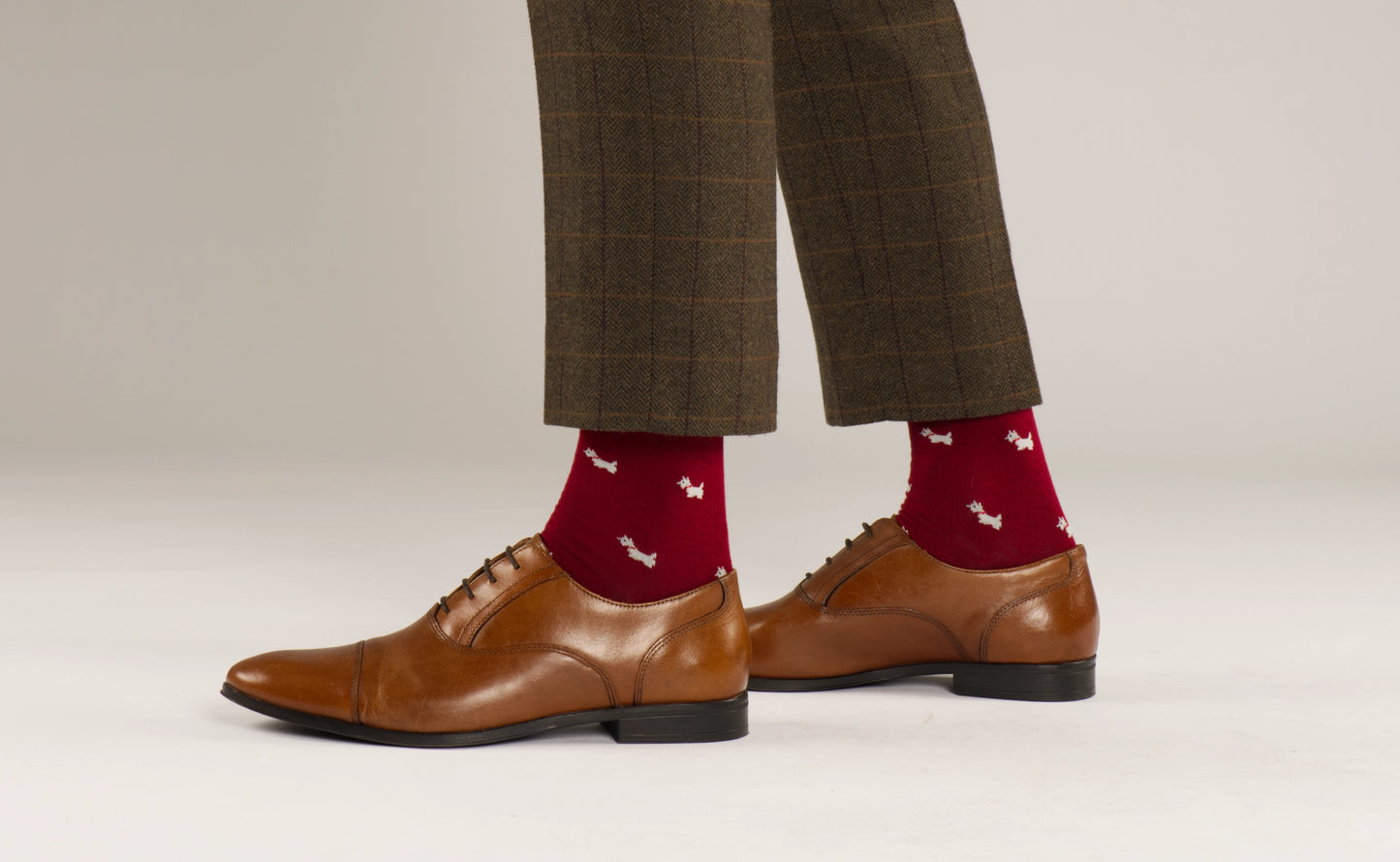 scottie scotty dog red socks radley unique gift for him doggo animal westie