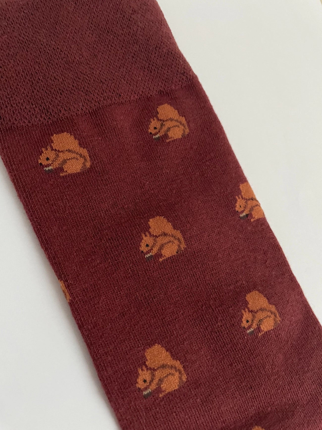 Red Squirrel Socks cute animal gift for men unique