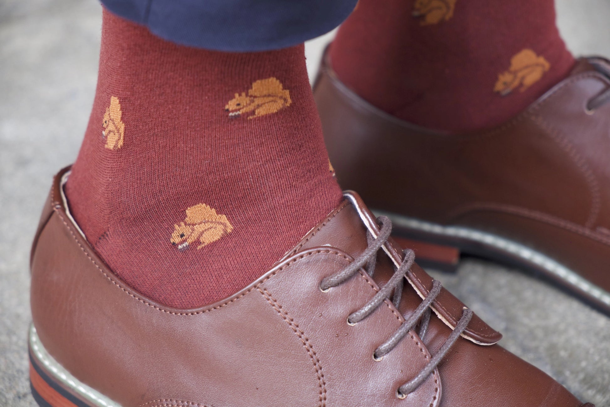 red squirrel socks modelled zoomed close up unique gifts