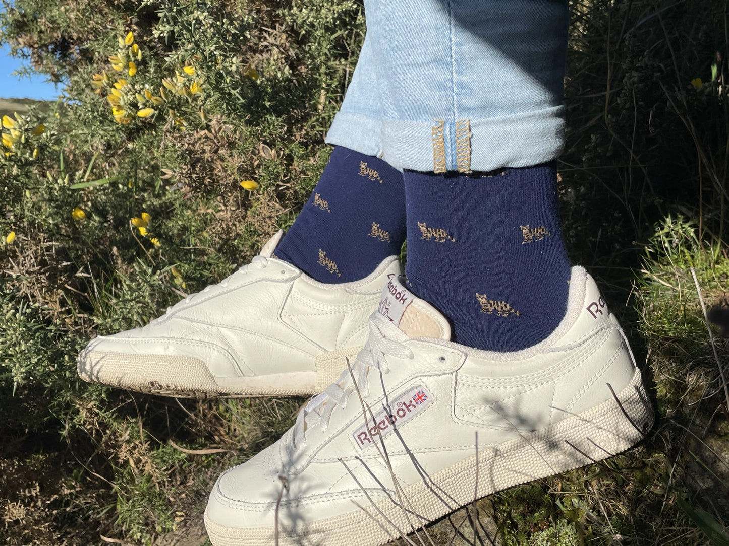 wildcat blue socks worn in Edinburgh